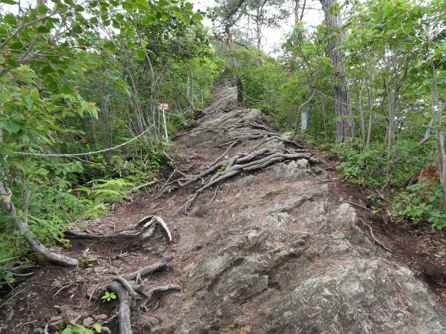 岩場の急登
