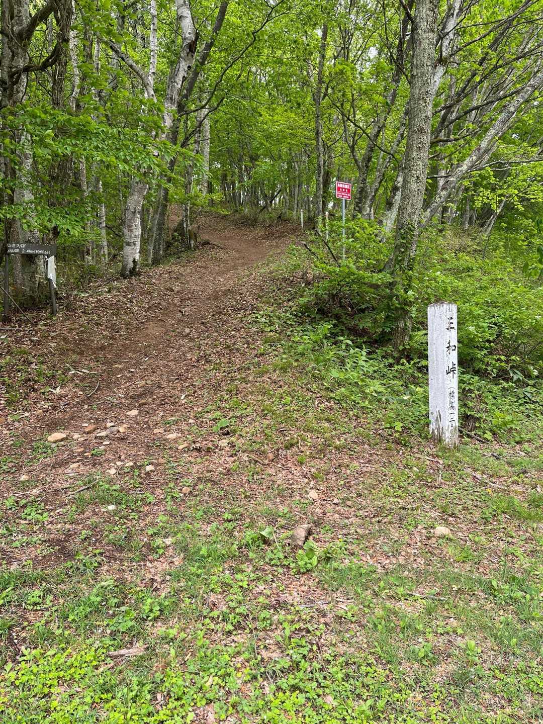 目の前が登山口！