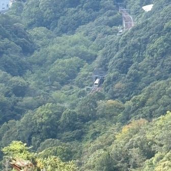 悠眞