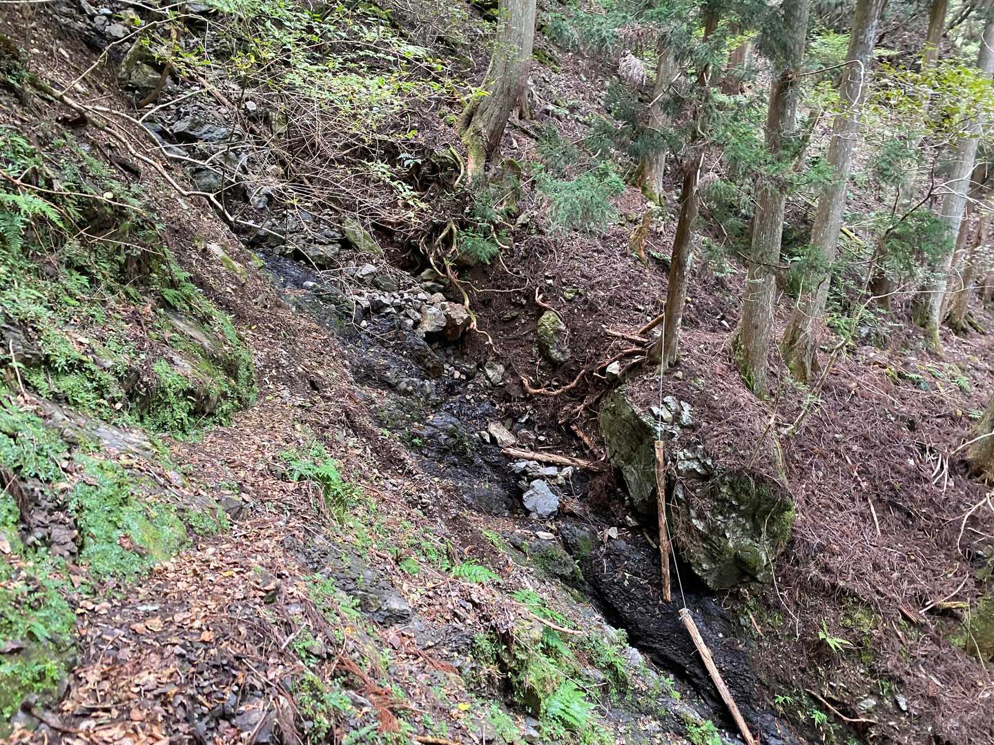 橋ないけど…
流されたのかな？