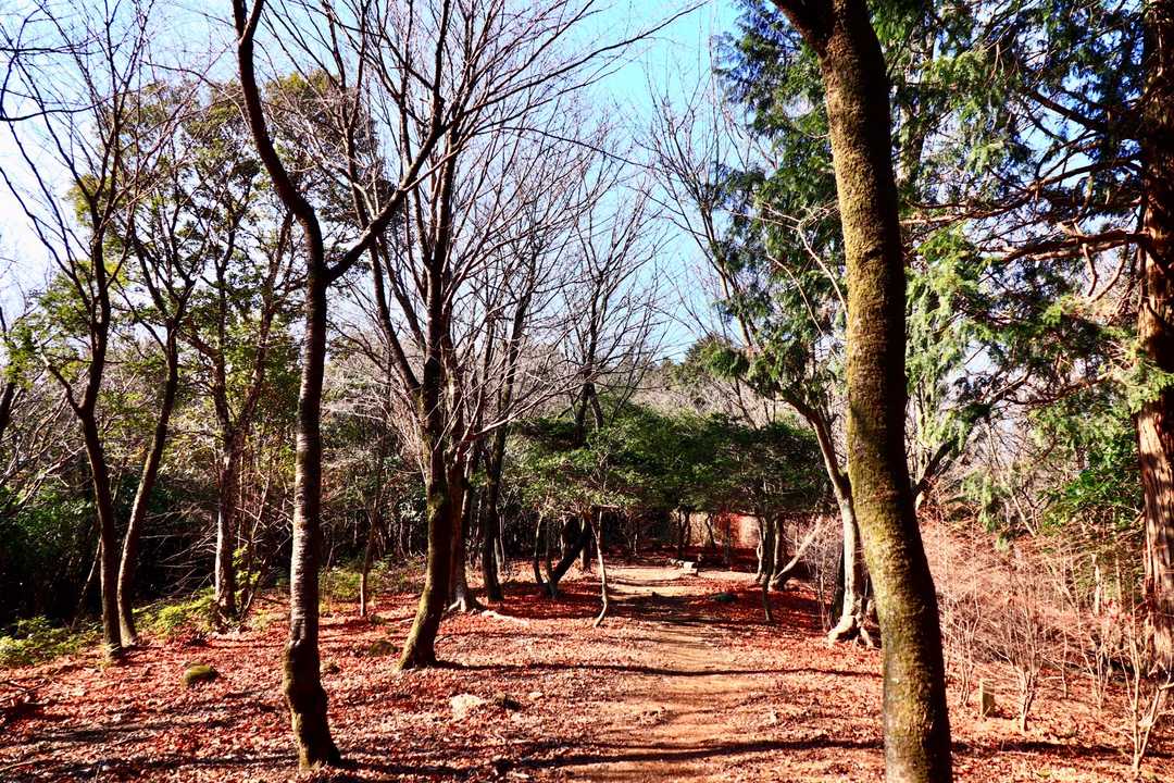 雲ヶ岳の山頂に着きました。思いのほか広いのでビックリ！　30年後の自分も、このくらい広い心でありたいな〜！