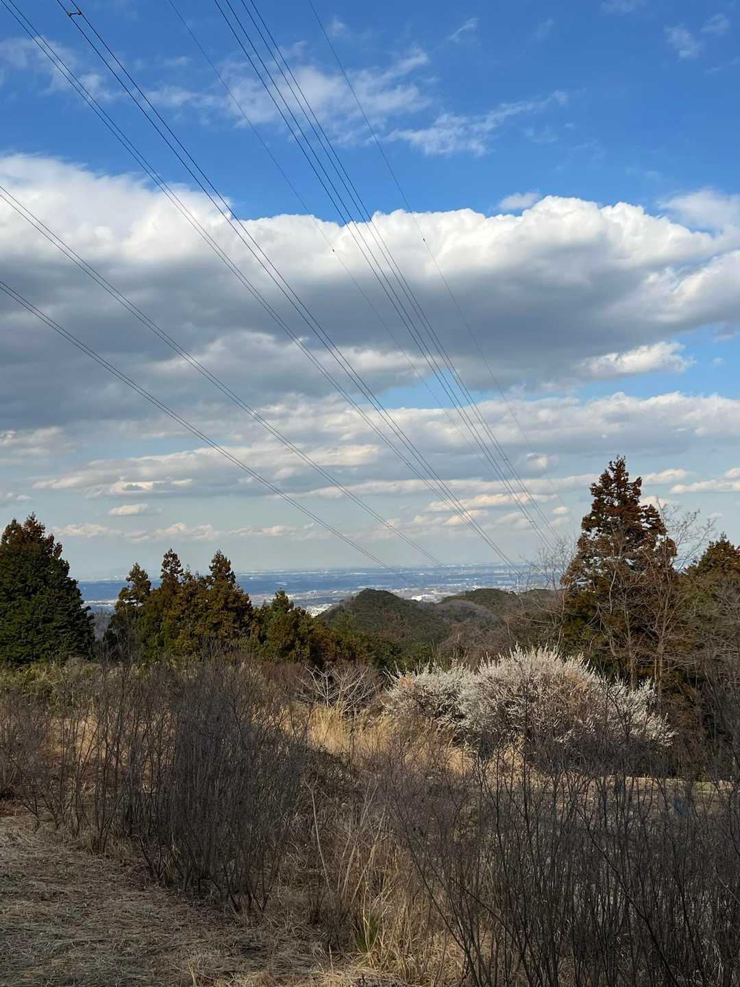 スカリ山-エビガ坂 周回コースの写真