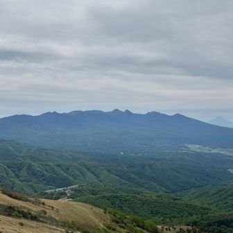 八ヶ岳と富士山