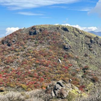 先ほど居た南峰
山頂に人がハッキリ見えてます👀