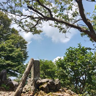 木陰で休憩☕