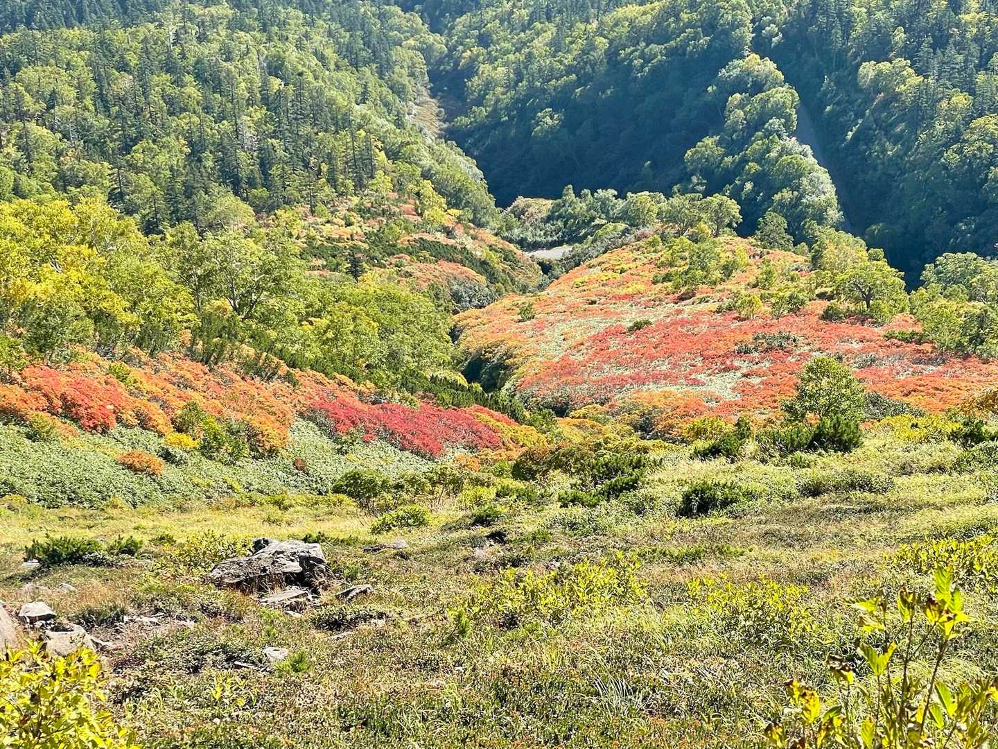 赤岳登山口-赤岳-白雲岳-北海岳-黒岳-七合目登山事務所 縦走コースの写真
