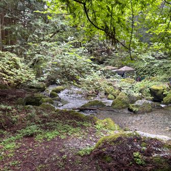 やがて賑やかなキャンプ場に到着。
ただ賑やかなだけならよいのだけど、特に上流エリアは半裸の若者たちがひたすら奇声を発しながら沢に飛び込んでいて、あぁ、近寄りたくないなと思ってしまった。