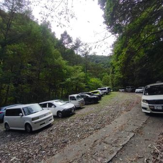 戻ってきたらかなりの数の車😲