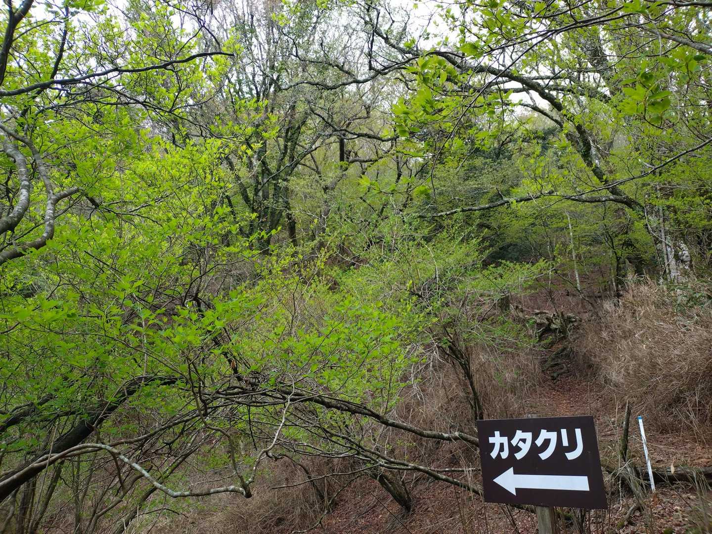 デカデカ🪧こっち👈🏻👈🏻👈🏻
