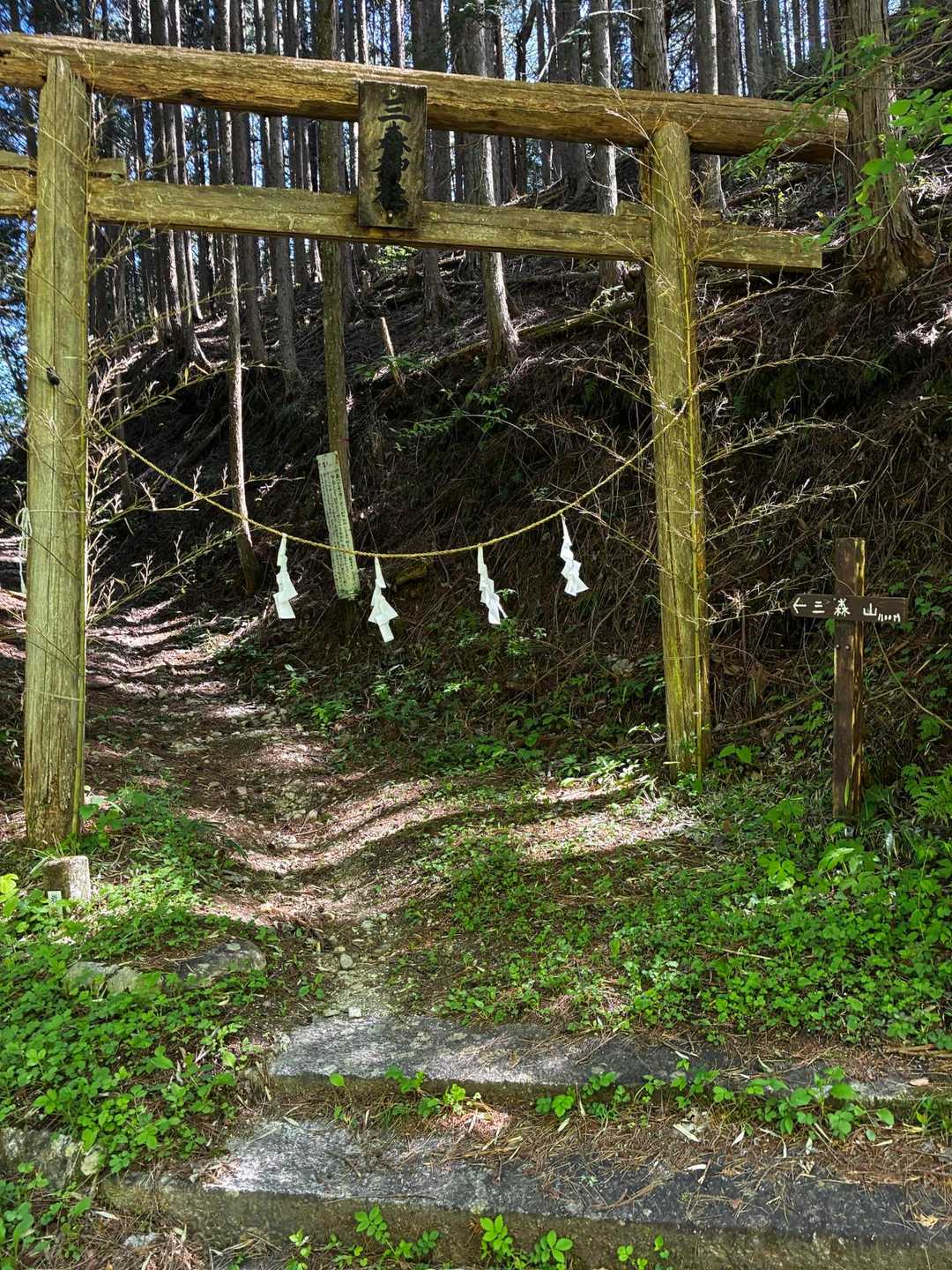 ここから登ります。