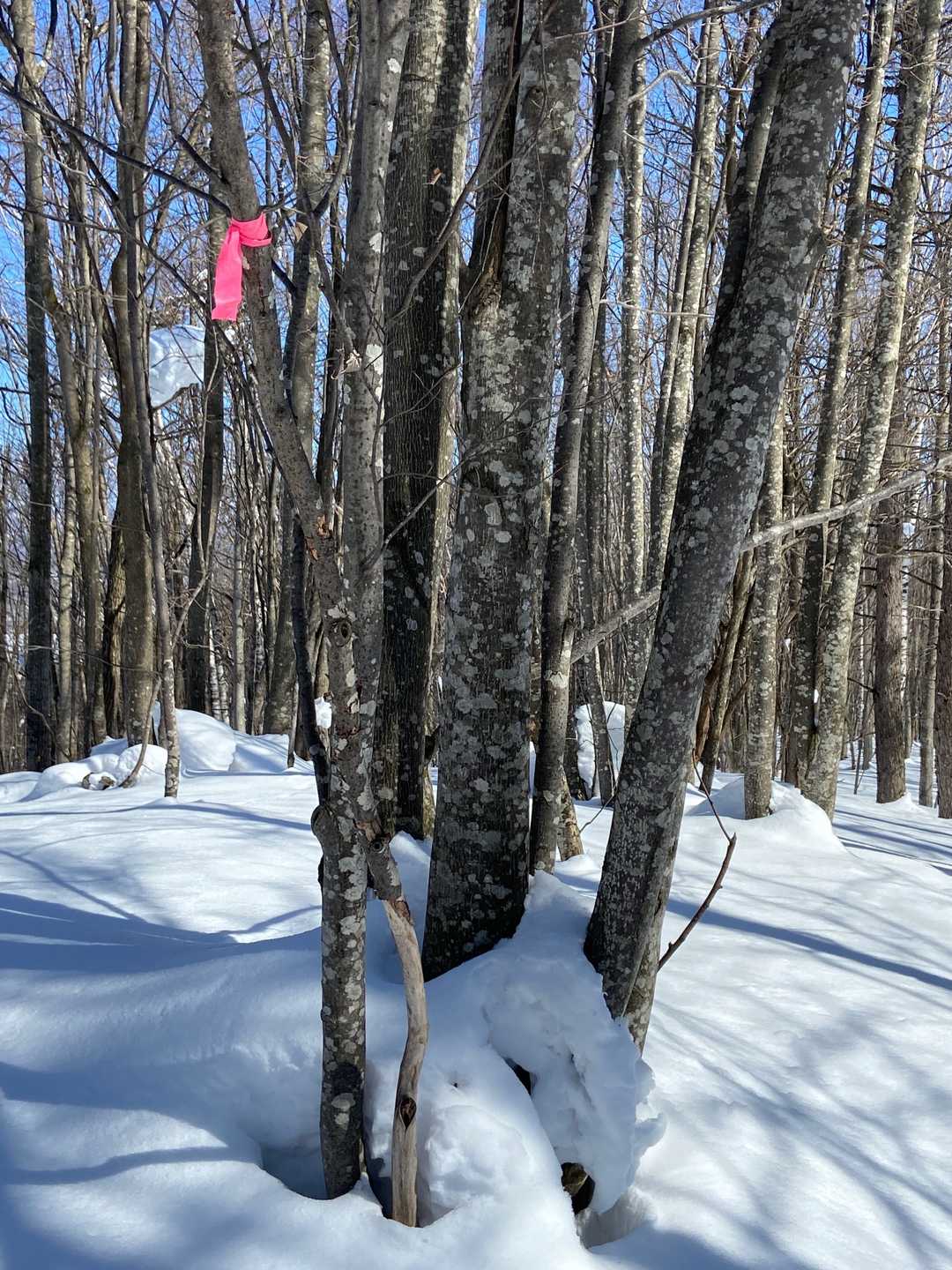 山頂🎀