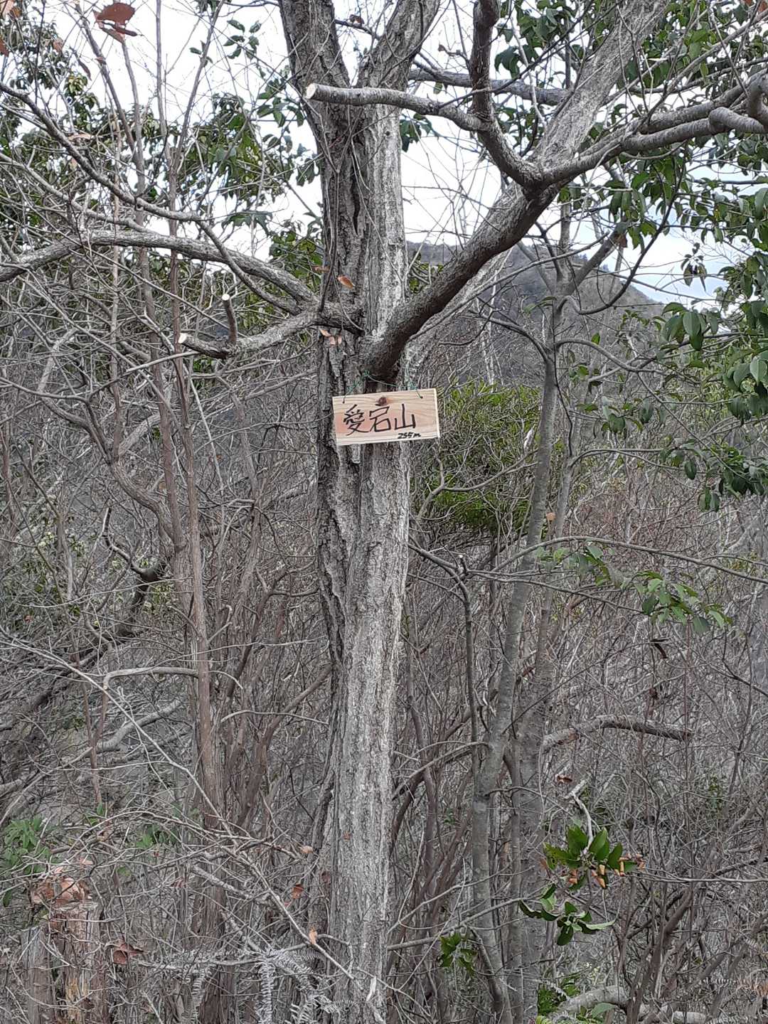 山頂標識。