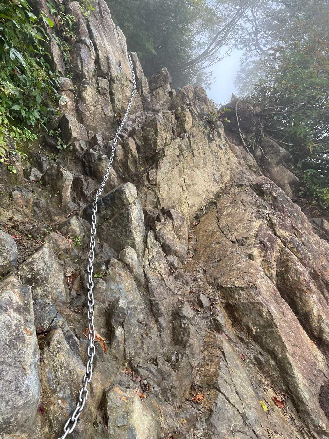 登山入口-熊穴沢ノ頭-天狗の留まり場 往復コースの写真
