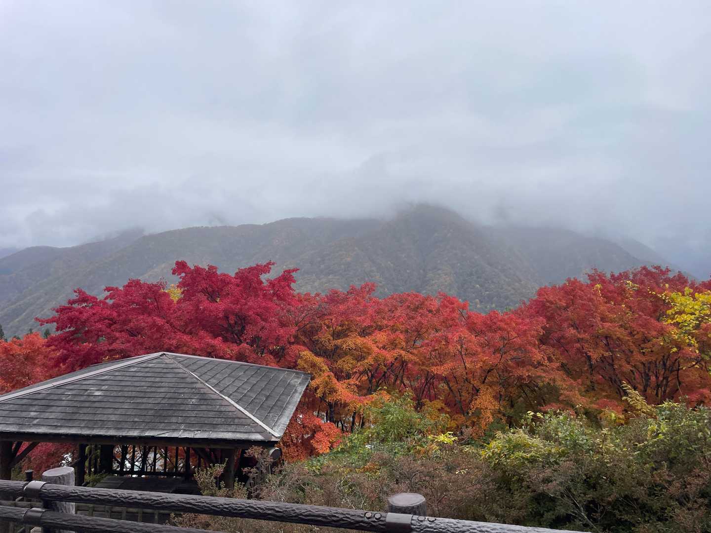 大輪バス停-妙法ヶ岳 縦走コースの写真