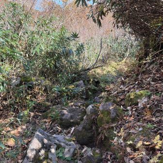 迷いやすくて道が悪いって聞いてましたが、登って来た反対側の舗装路と比較するとの話し、よくある登山道でした。
