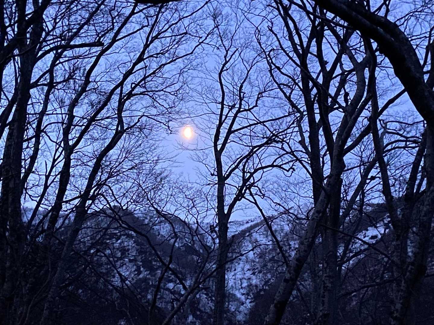 🌗