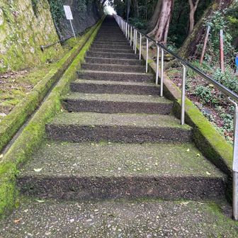 男山登るぜ山というか
もう階段