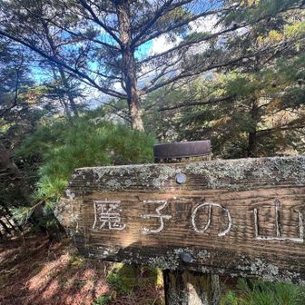 瑞牆山の近くにすごく気になる山名の山があったのです…

魔子ってなんだ？

こんな名前の意味ありげなピークを見つけてしまったら登りたくなってしまうじゃないですか…


「魔子の山」

その昔、金峰山の近くに、「魔子の山」という不気味
な形をした山がありました。
そこには、いまにも妖怪が出てきそうなうす気味悪いほら穴がありました。
里人は、ここを「魔子の人穴」と呼んで、近づかないようにしていました。
その山には昔、魔子爺（まごじじい）という大男が住んでいたのでした。
ジジイは老人とは思えない頑丈な体で、里へ出てきては家畜や赤ん坊までさらっていったといいます。

日本百名山の伝説・神話より。