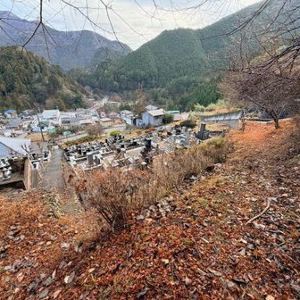 登山道に入りました。