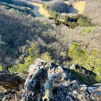 ここ懸垂スポットでは❓