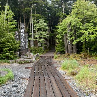 ☘️苔ワールドへ出発✊