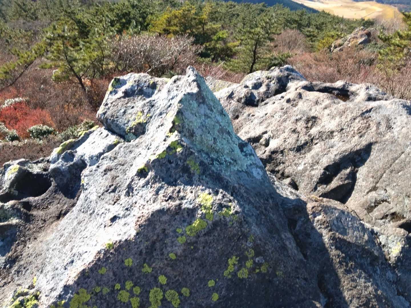 岩場に頂上標識あるかと登ったがない。