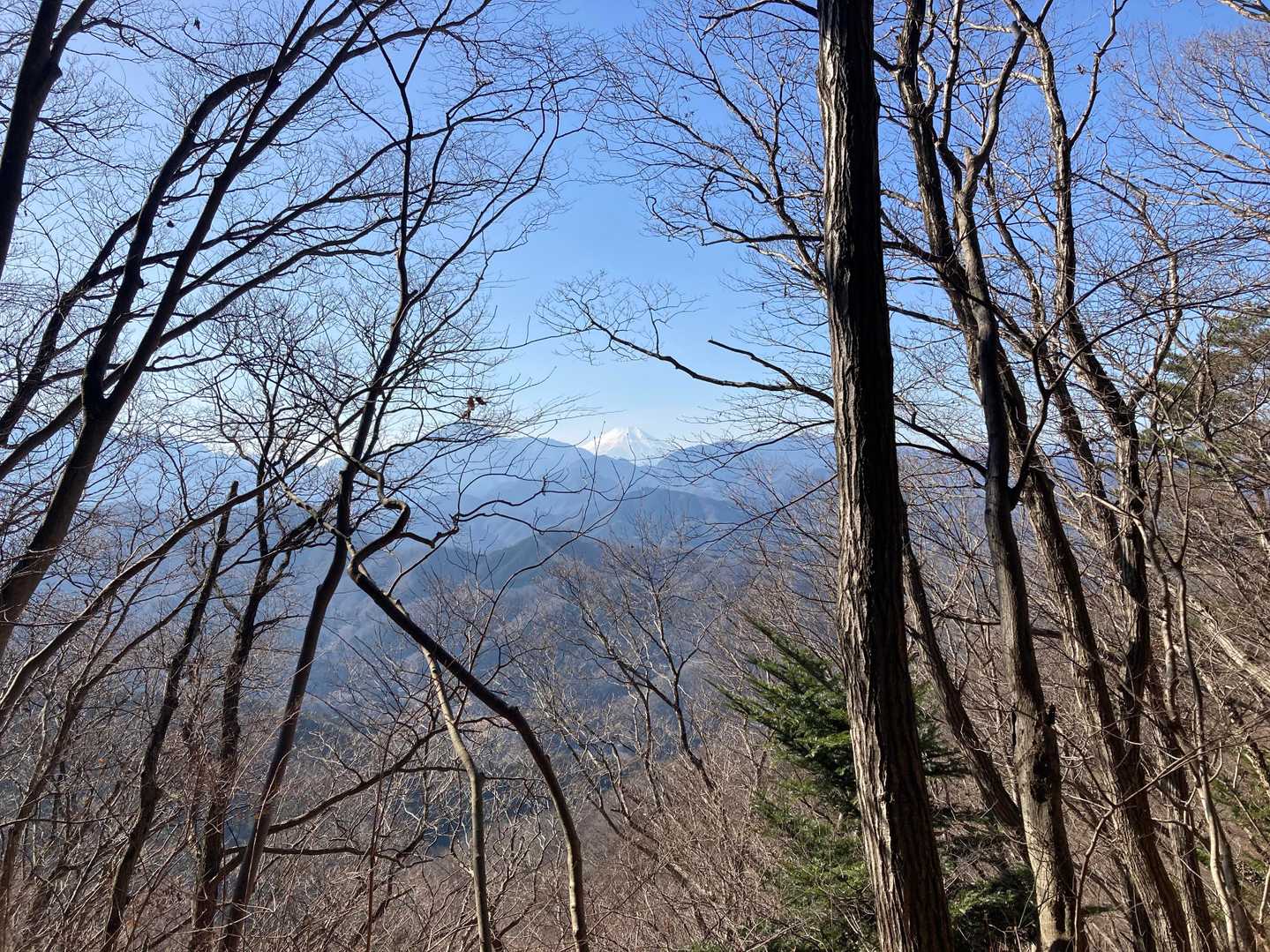 左方向に富士山を見ながら進みます