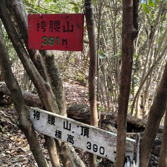 袴腰山（はかまごしやま）着いた
ロープもあり枯れ葉だらけ…ここまで急登だった⤴️
疲れた〰️😆
マイナーな山だけどとある会社の登山部の人たちに出会う