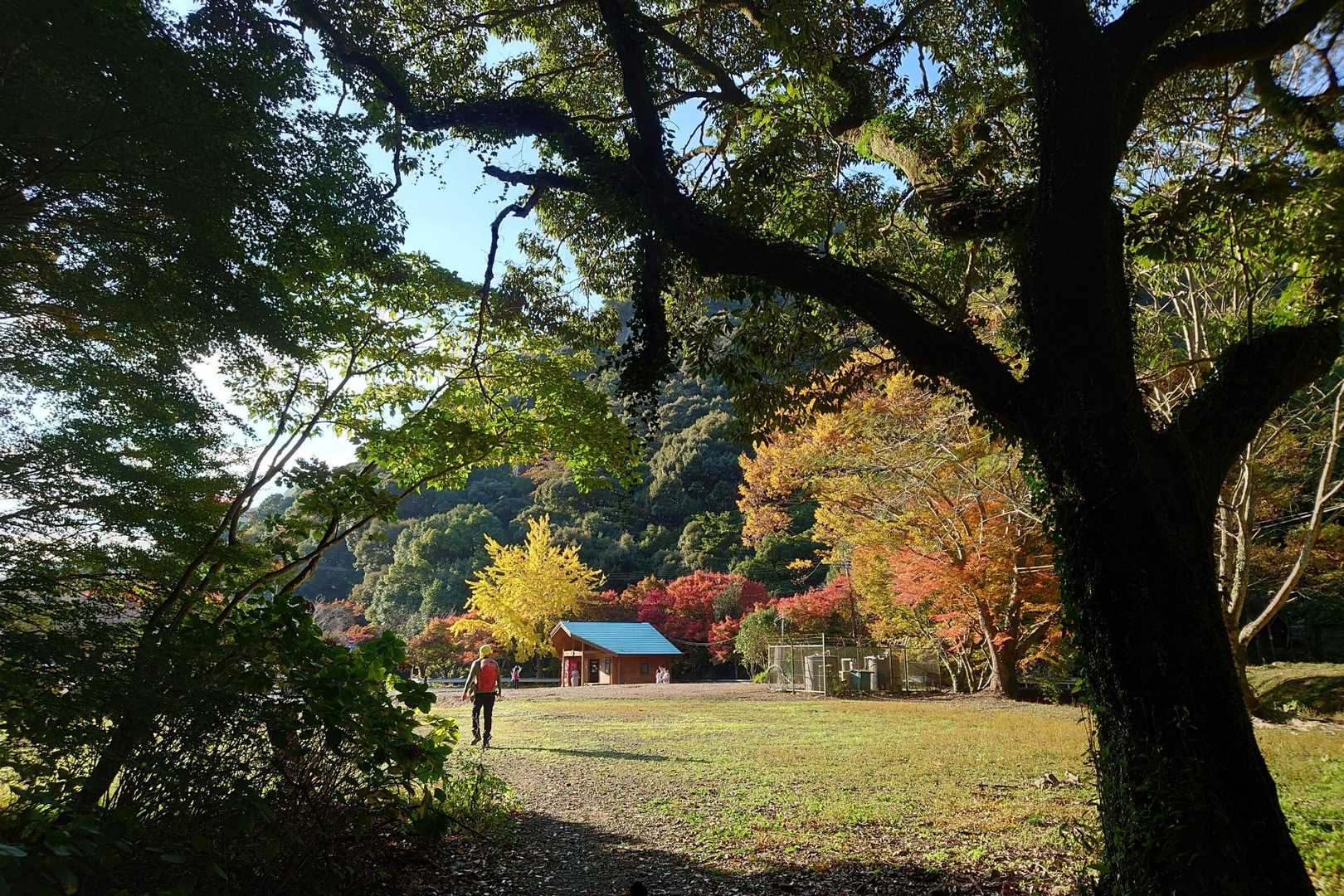 思ったより、時間が掛かっだけど楽しかった。「バラエティパックのようなお山」でした。