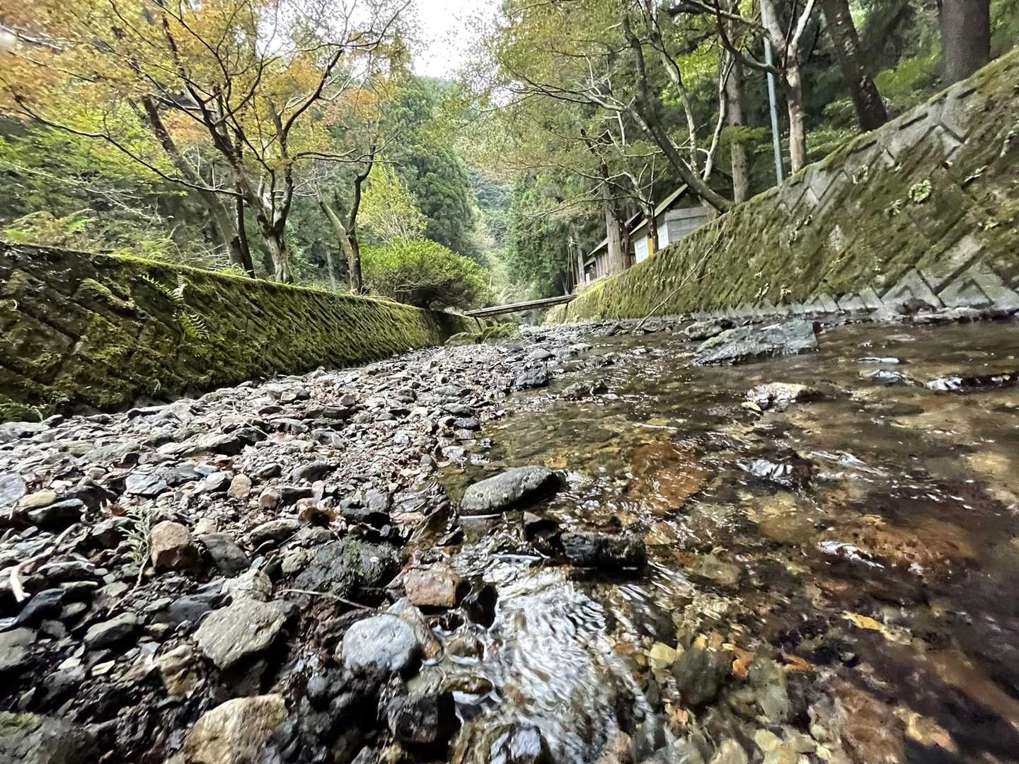 いやいゃ！
　癒されながらの登山ということで🥾