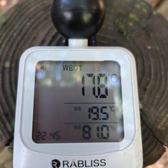 8:00なのに気温は19.5度とかホンマ涼しい😁
歩き易い季節はもうスグですね✨