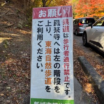 パークウェイ駐車場入るまで渋滞してる😲