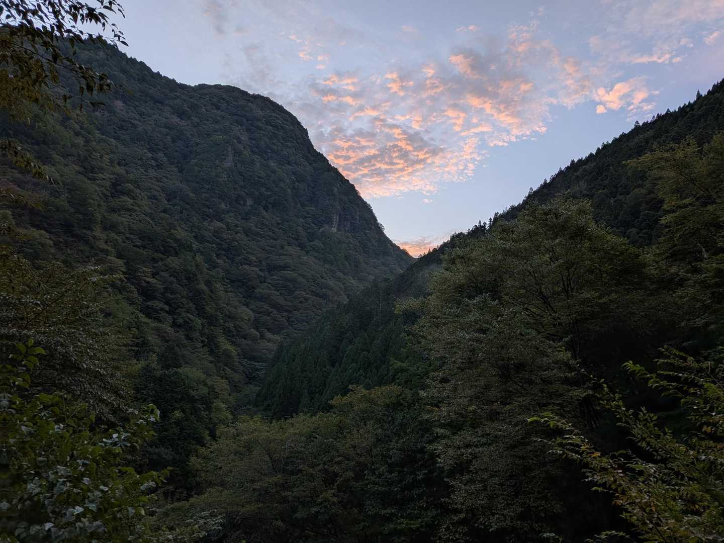 めちゃ天気良くなりそう😄
歩き始めは少し肌寒いくらい。
かなり涼しくなりましたね～