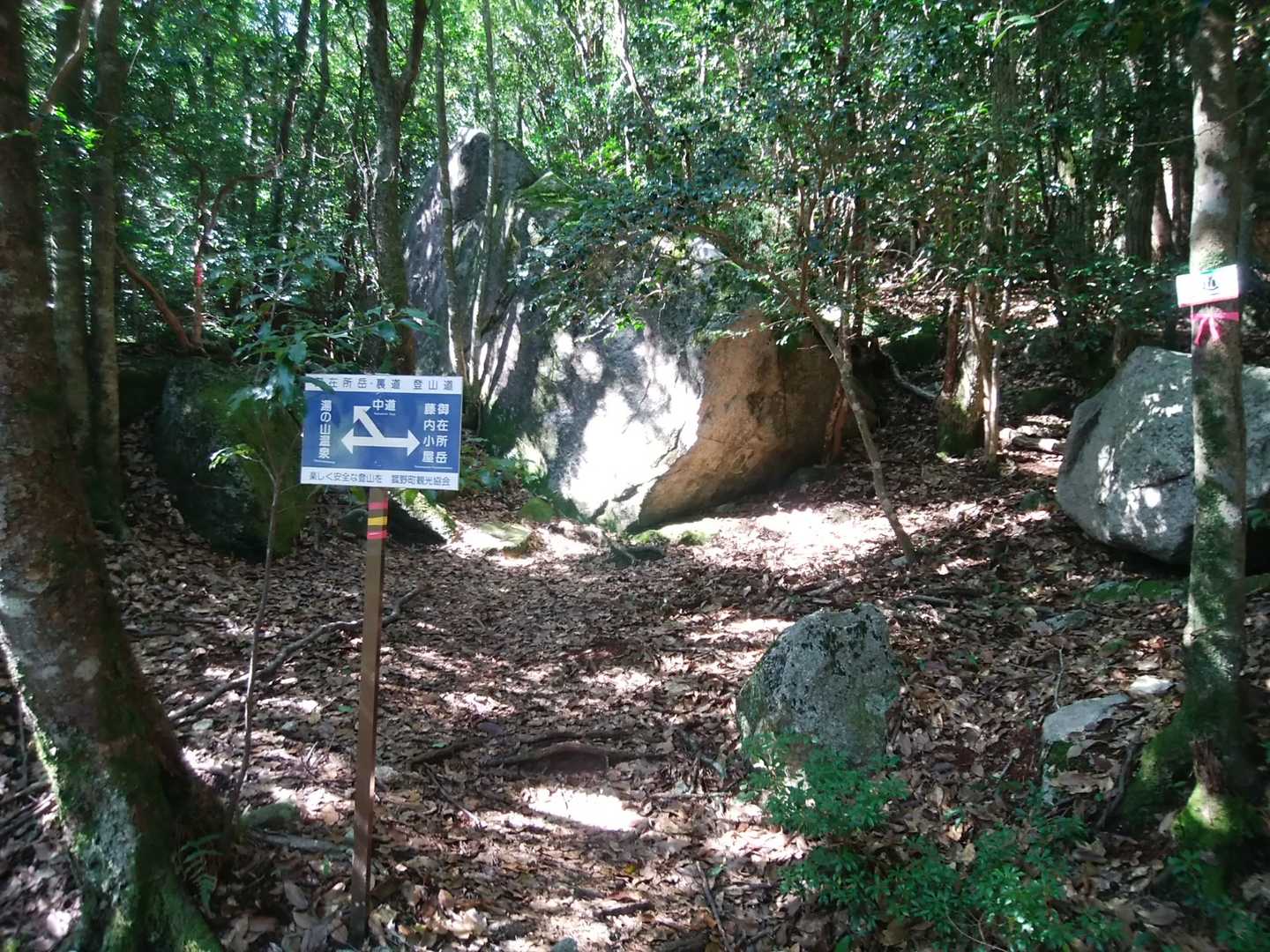 ここの分岐から中道に戻ります。