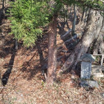 落ち葉の急登で踏ん張りながら