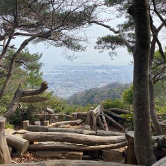 七兵衛山の山頂。先に来て座ってた方がここの席を勧めてくださいました。確かに良い眺め。