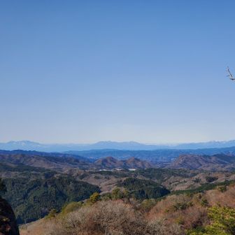山頂からの景色