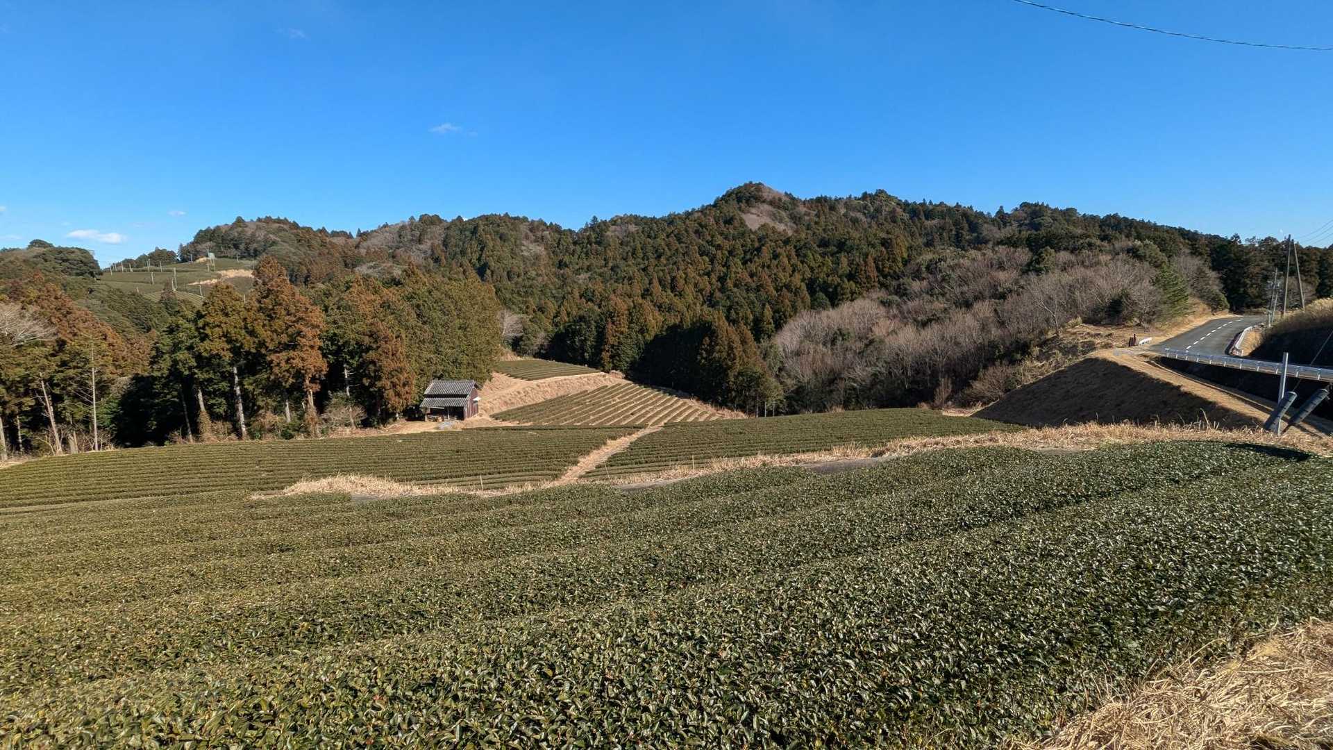おつかれ山