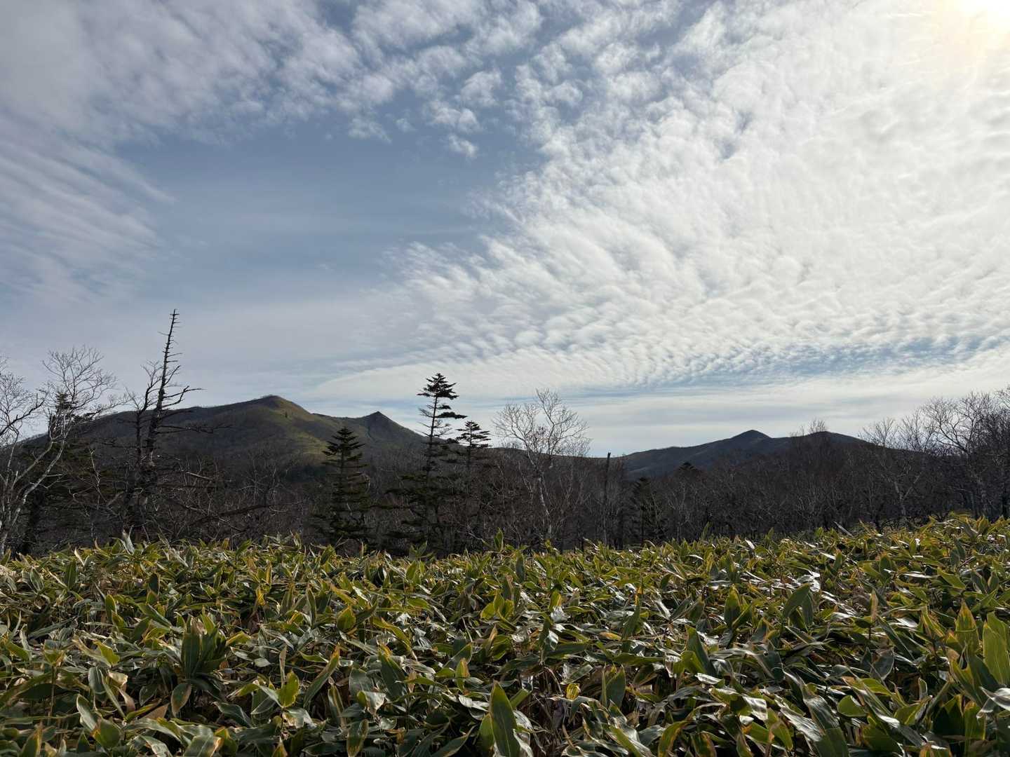 西別岳〜