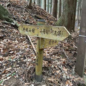 のめこい♨️vs小菅♨️
バスの時間が近いのめこいにしたけど…