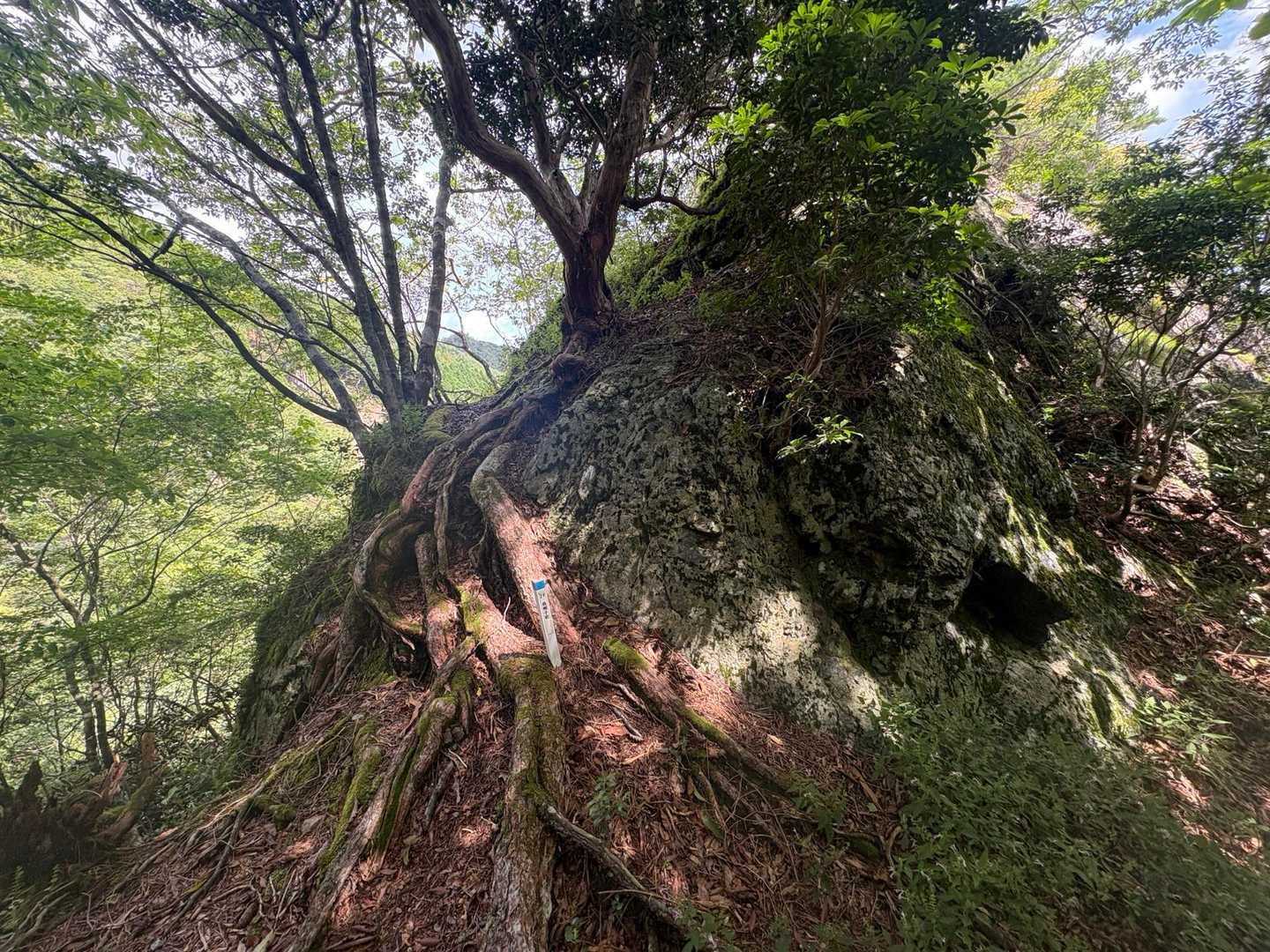 烏帽子岩