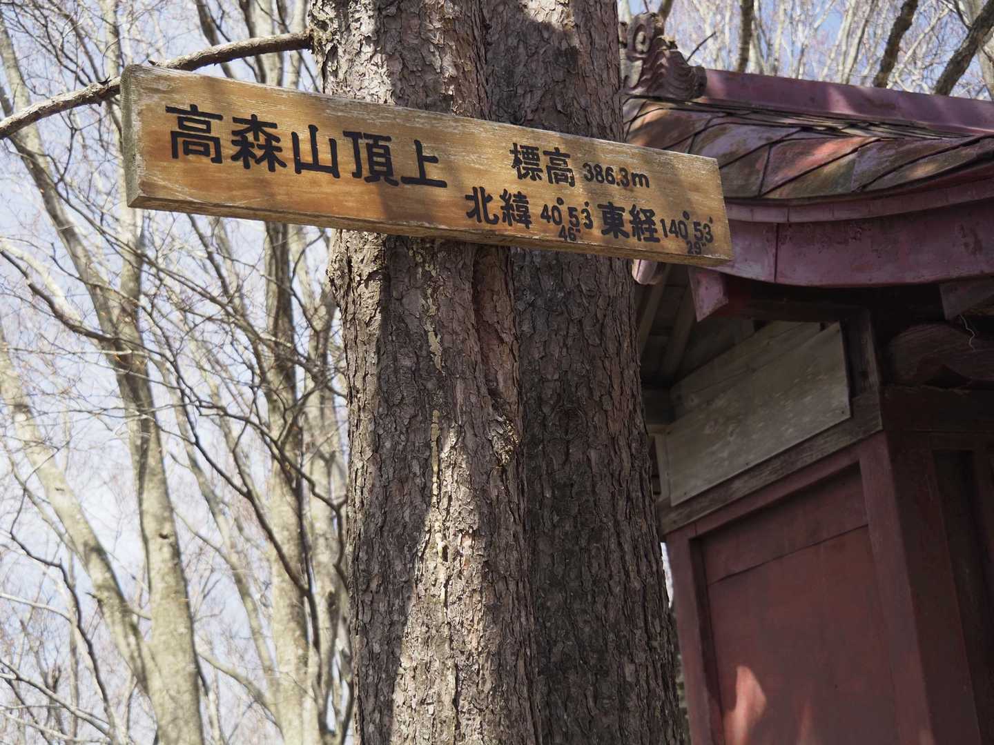 高森山登山口-高森山 往復コースの写真