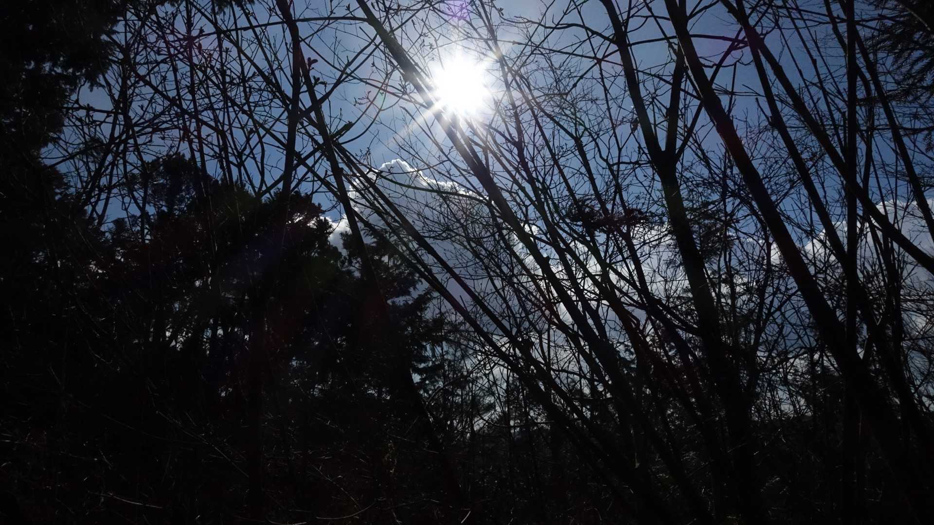 太陽がとてもキレイ。