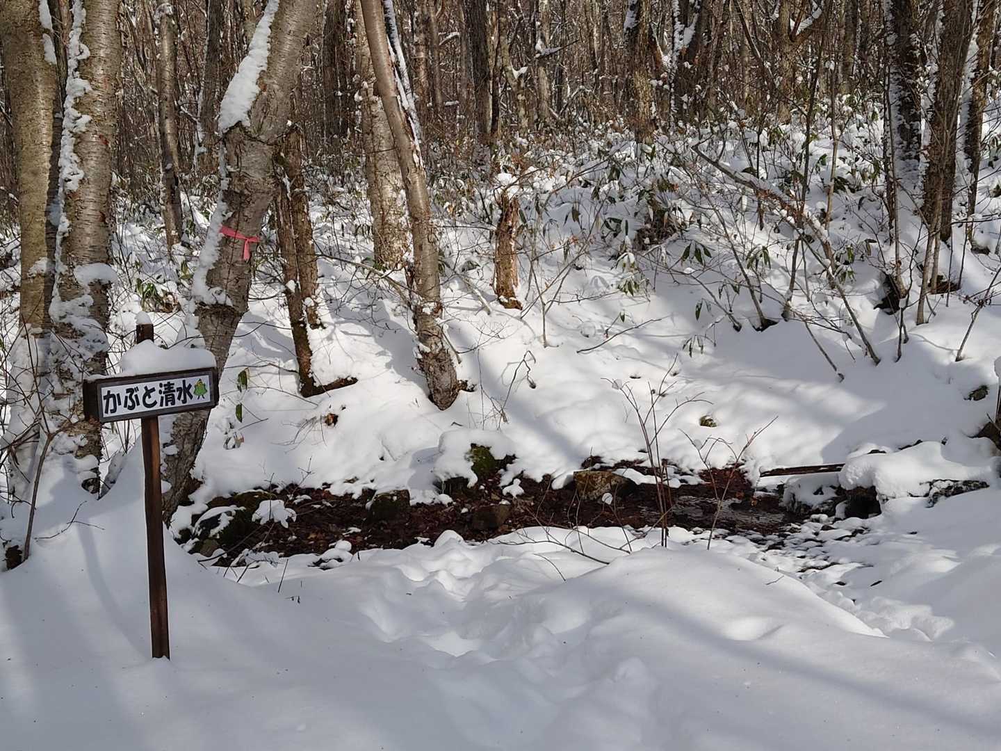 水がちょろちょろ
