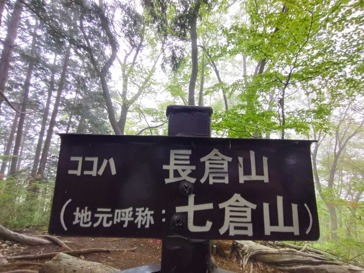 長倉山頂▲✨