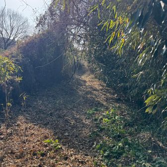 ダーッシュで駆け抜けました🏃‍♀️🏃💨