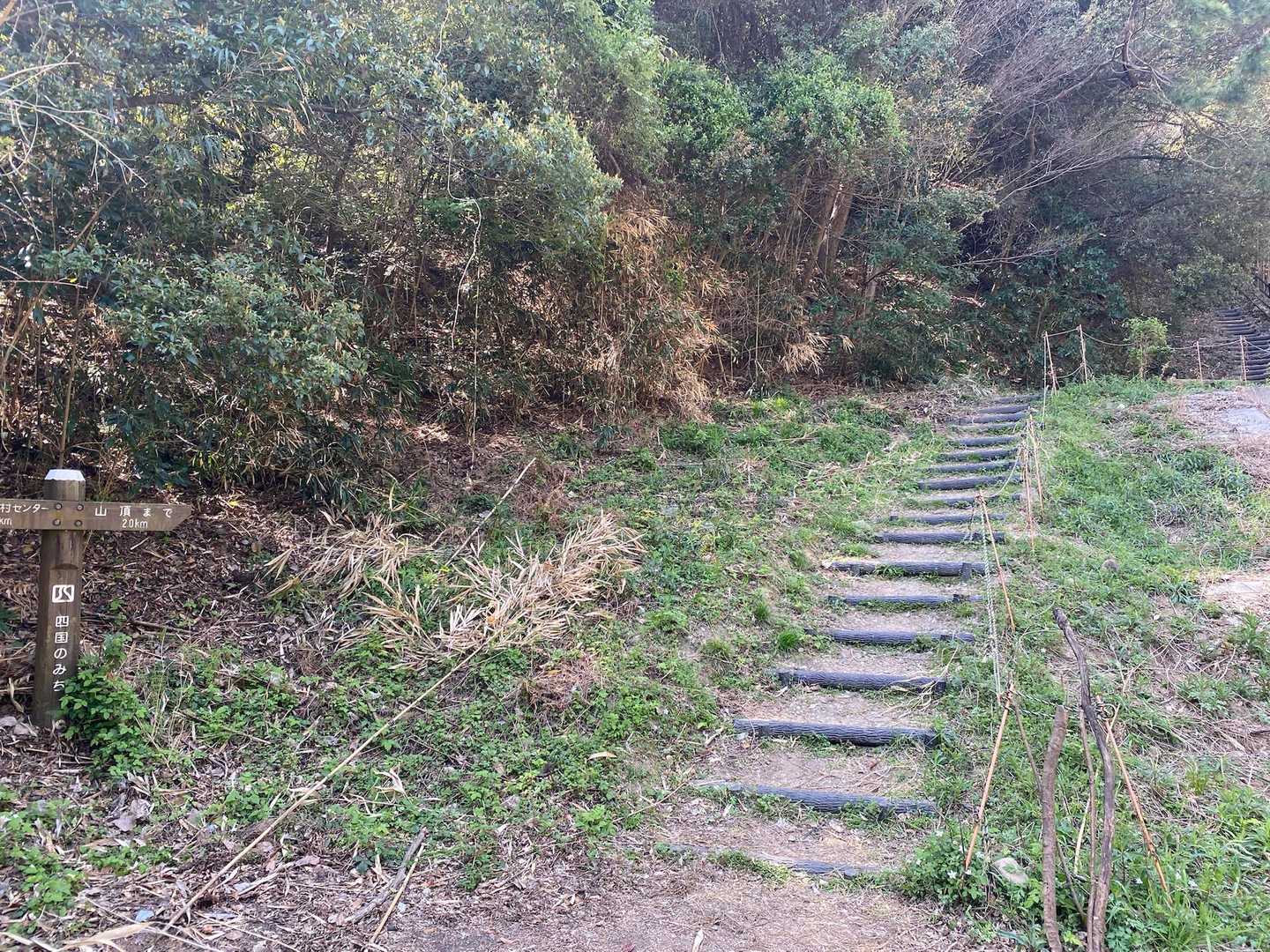 登りまーす！