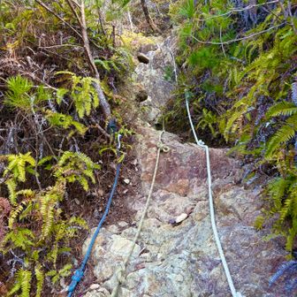 まだ続くロッククライム🧗