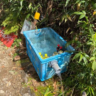 ここの水場はすっごい豊富💧