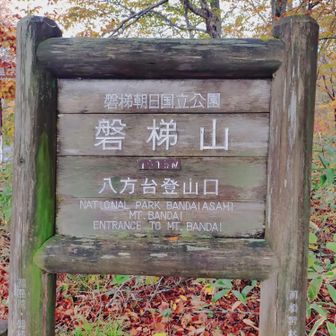 八方台登山口から
出発します。